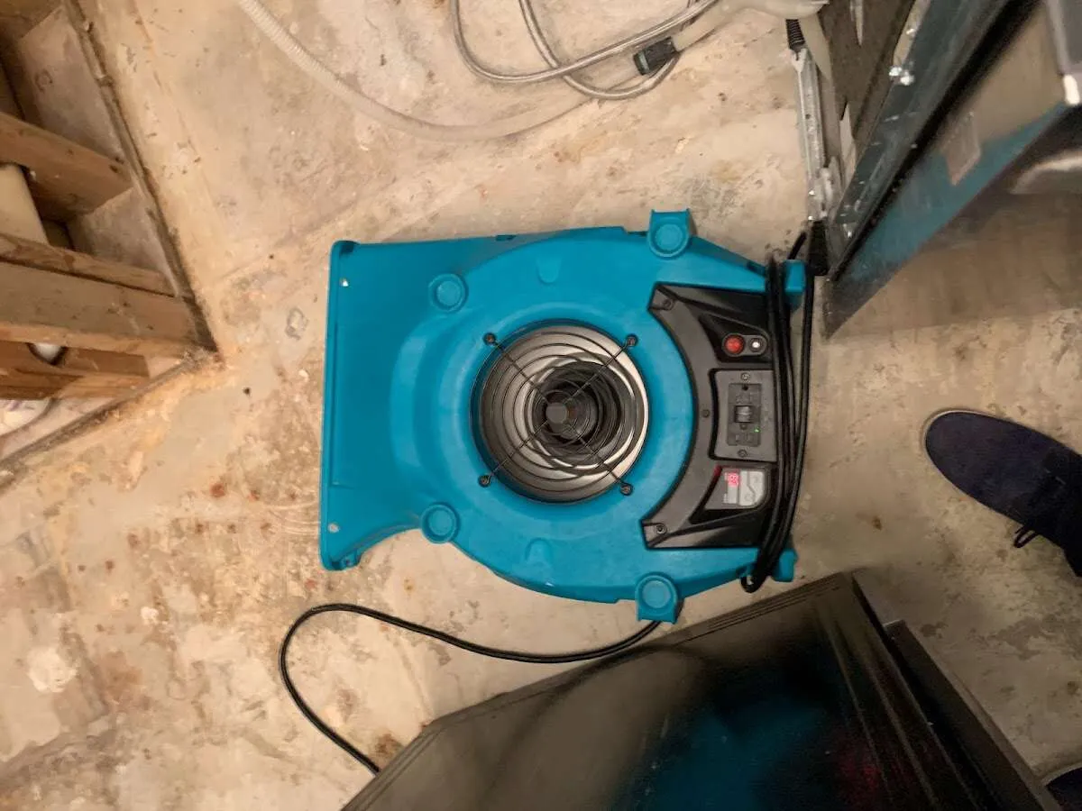 Air mover drying equipment for Mold Remediation & Removal in Canyon Lake